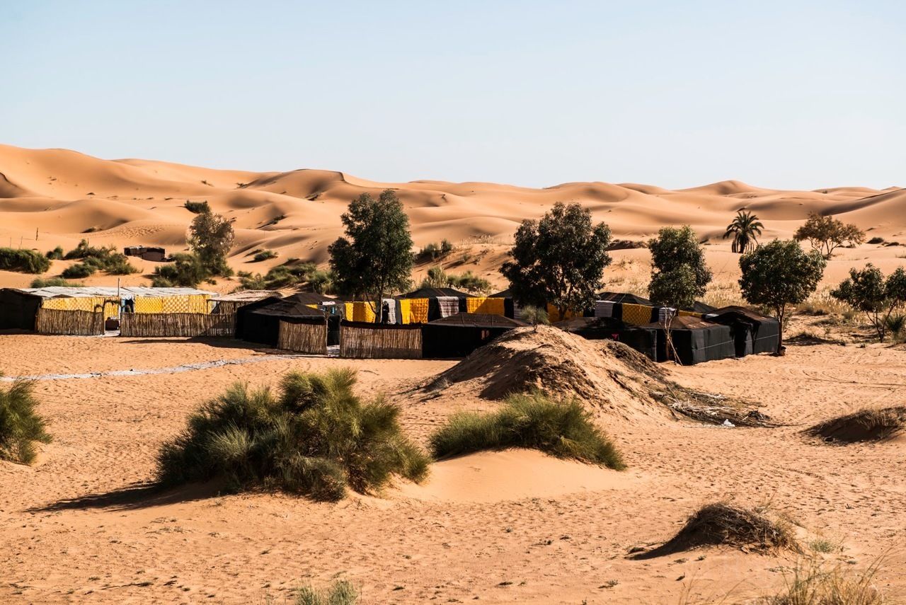 Paisaje desértico con dunas de arena y vegetación escasa. Se observan estructuras con cubiertas amarillas y negras, posiblemente tiendas de campaña o refugios temporales.