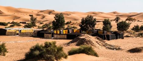 Paisaje desértico con dunas de arena y vegetación escasa. Se observan estructuras con cubiertas amarillas y negras, posiblemente tiendas de campaña o refugios temporales.