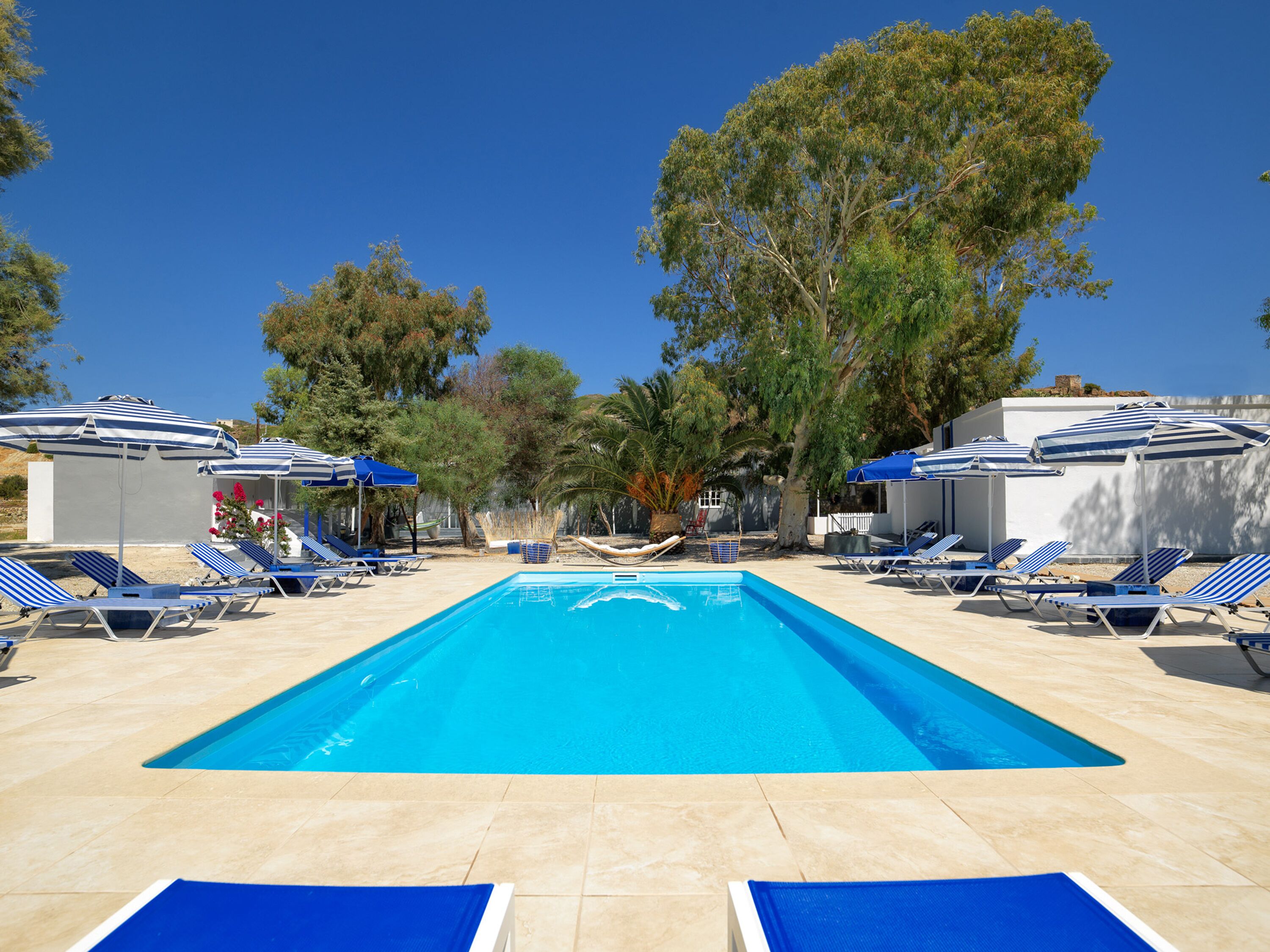 Una piscina rectangular con agua azul, rodeada de sillas de descanso y sombrillas, con árboles al fondo.