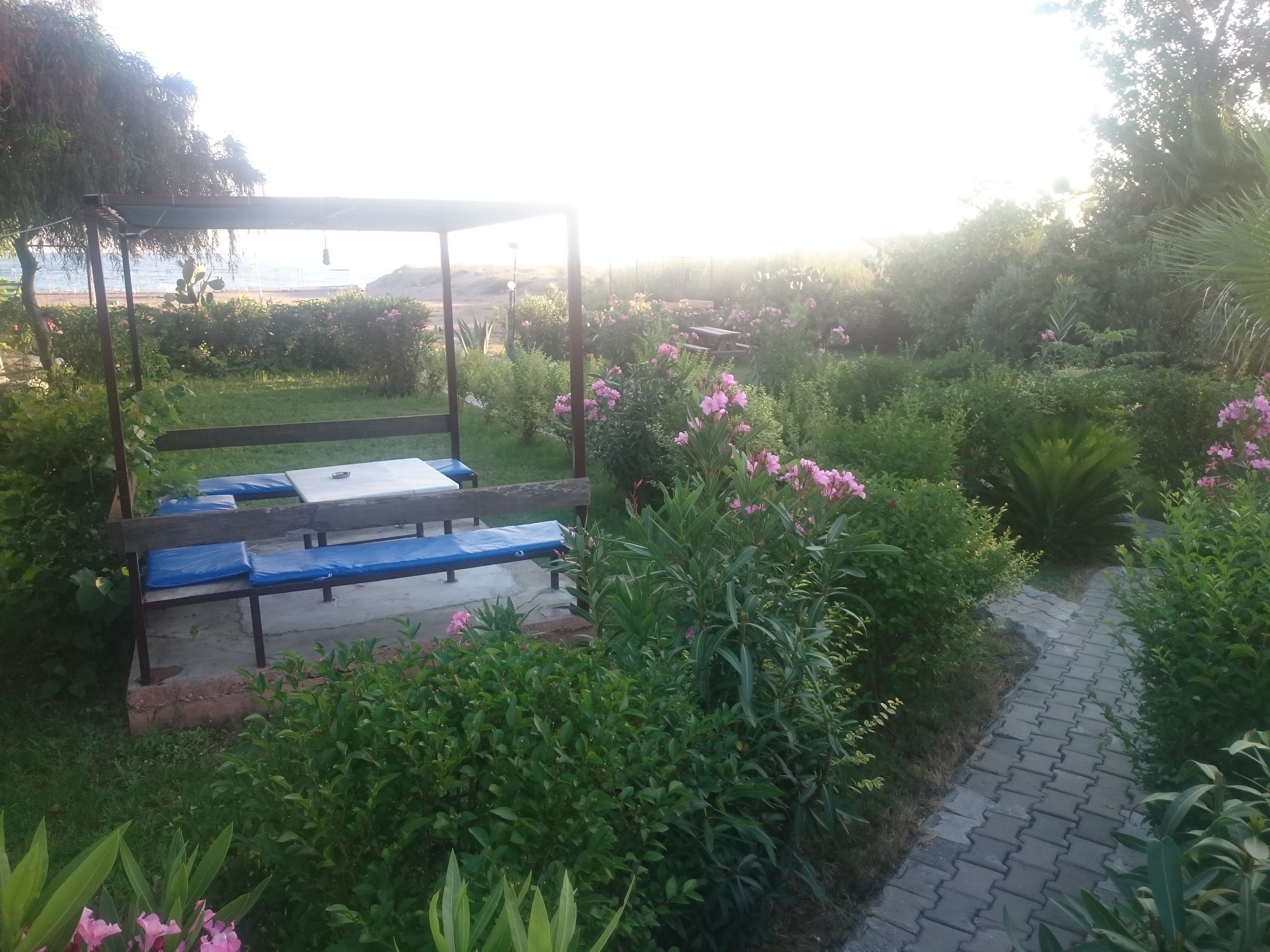 A garden with a wooden bench and a pergola.