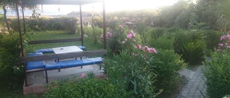 A garden with a wooden bench and a pergola.