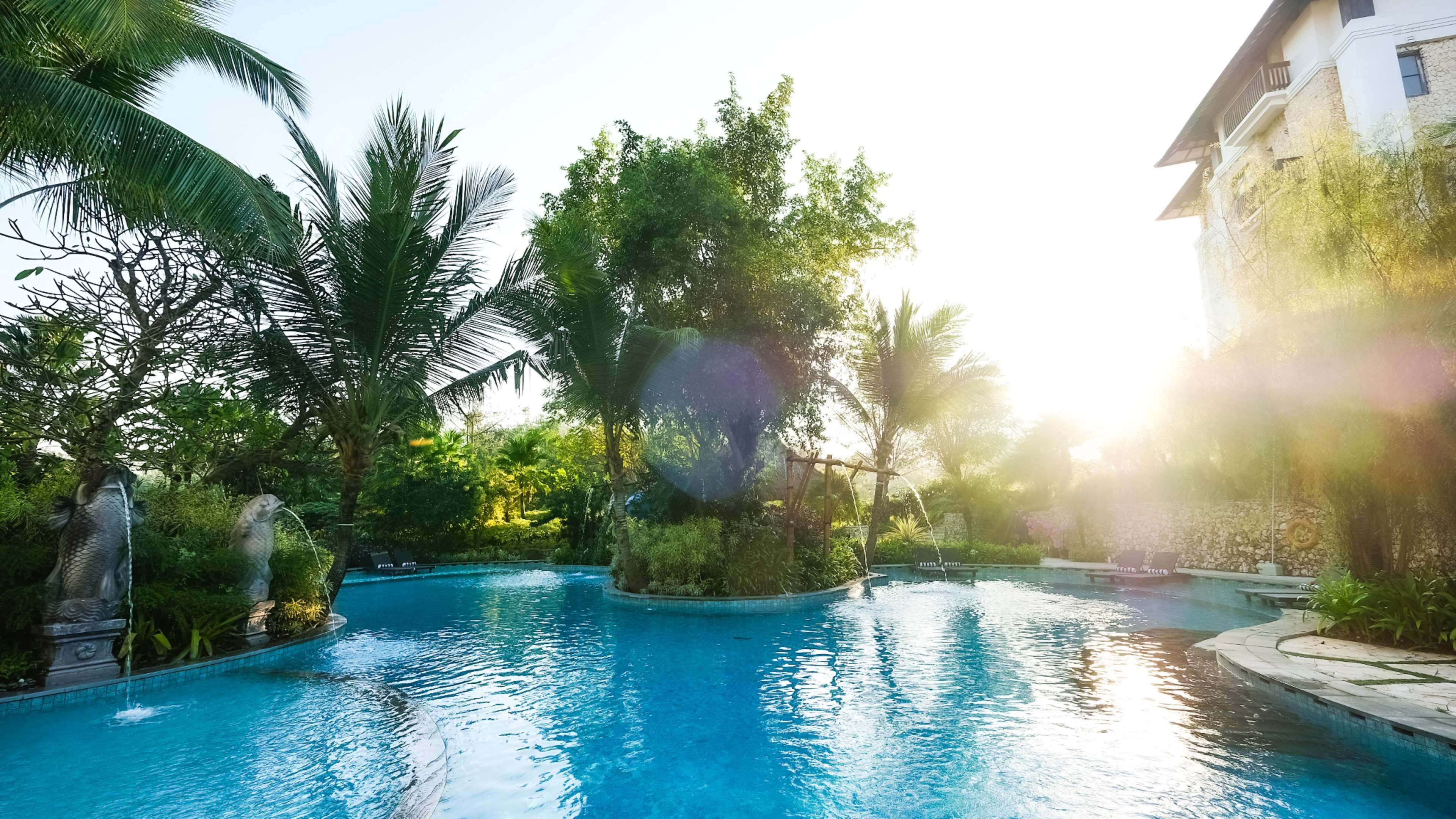 A pool area with a central island, surrounded by palm trees and a stone wall.