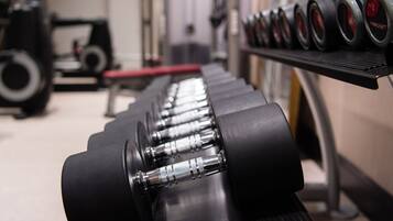 A row of dumbbells on a rack in a gym.