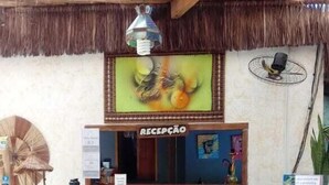 Recepción