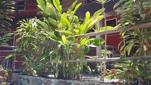 Jardín