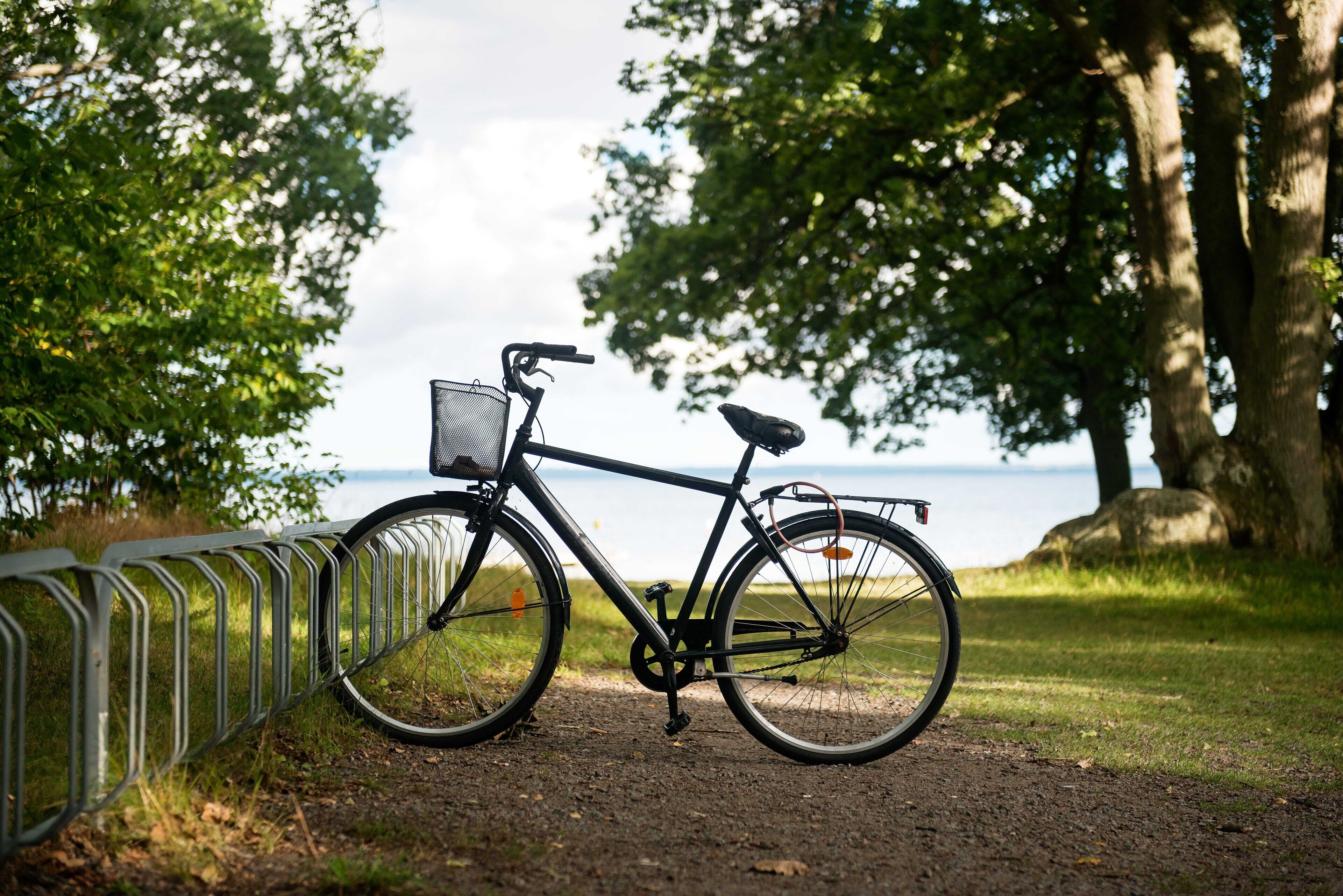 Un vélo est garé près d’une clôture en métal, avec une étendue d’eau et des arbres en arrière-plan.