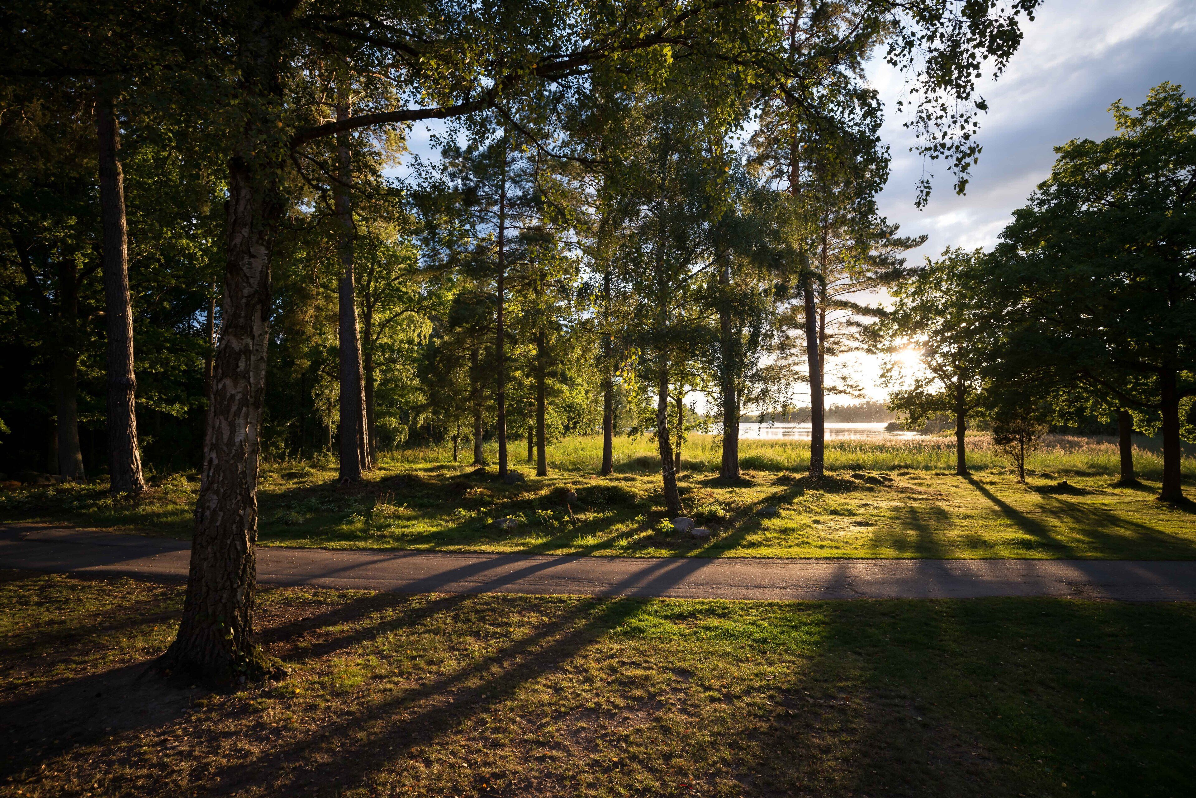 Aðstaða fyrir grillveislur/lautarferðir