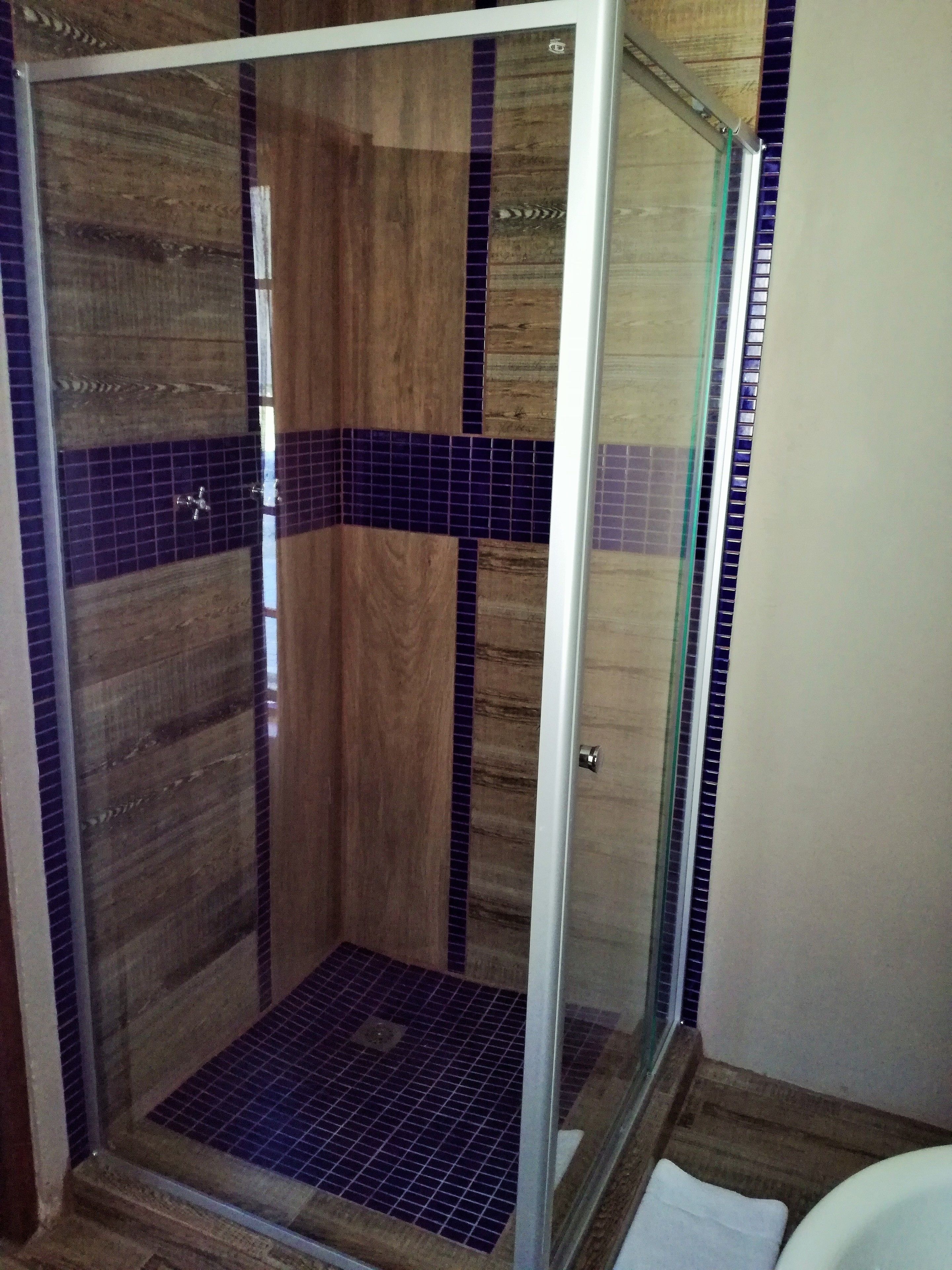 A glass-enclosed shower with wooden paneling and blue-tiled accents.