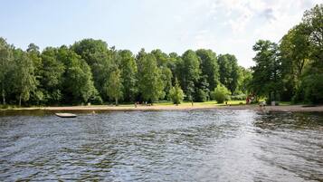 A calm lake with a wooden dock, surrounded by dense green trees and a clear sky.