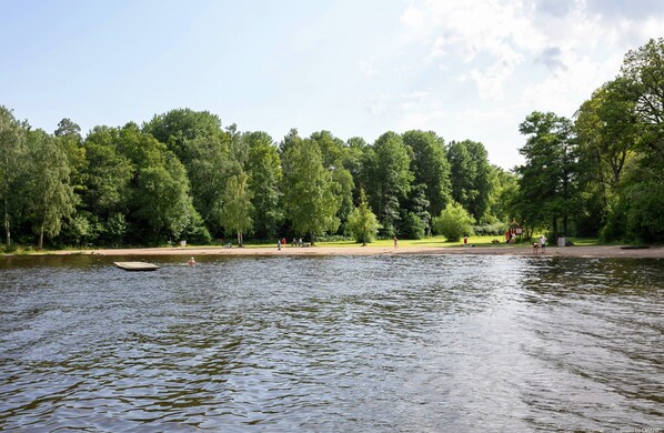 A calm lake with a wooden dock, surrounded by dense green trees and a clear sky.