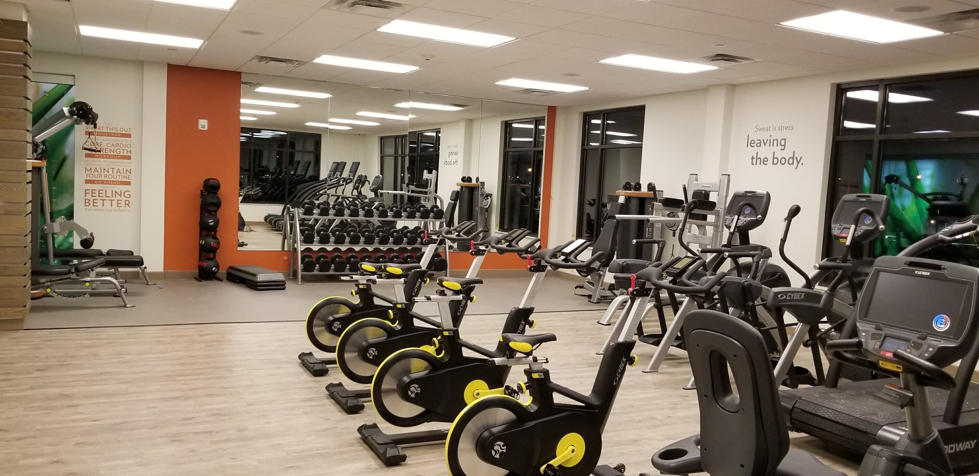 A gym with cardio equipment, weight machines, and dumbbells.