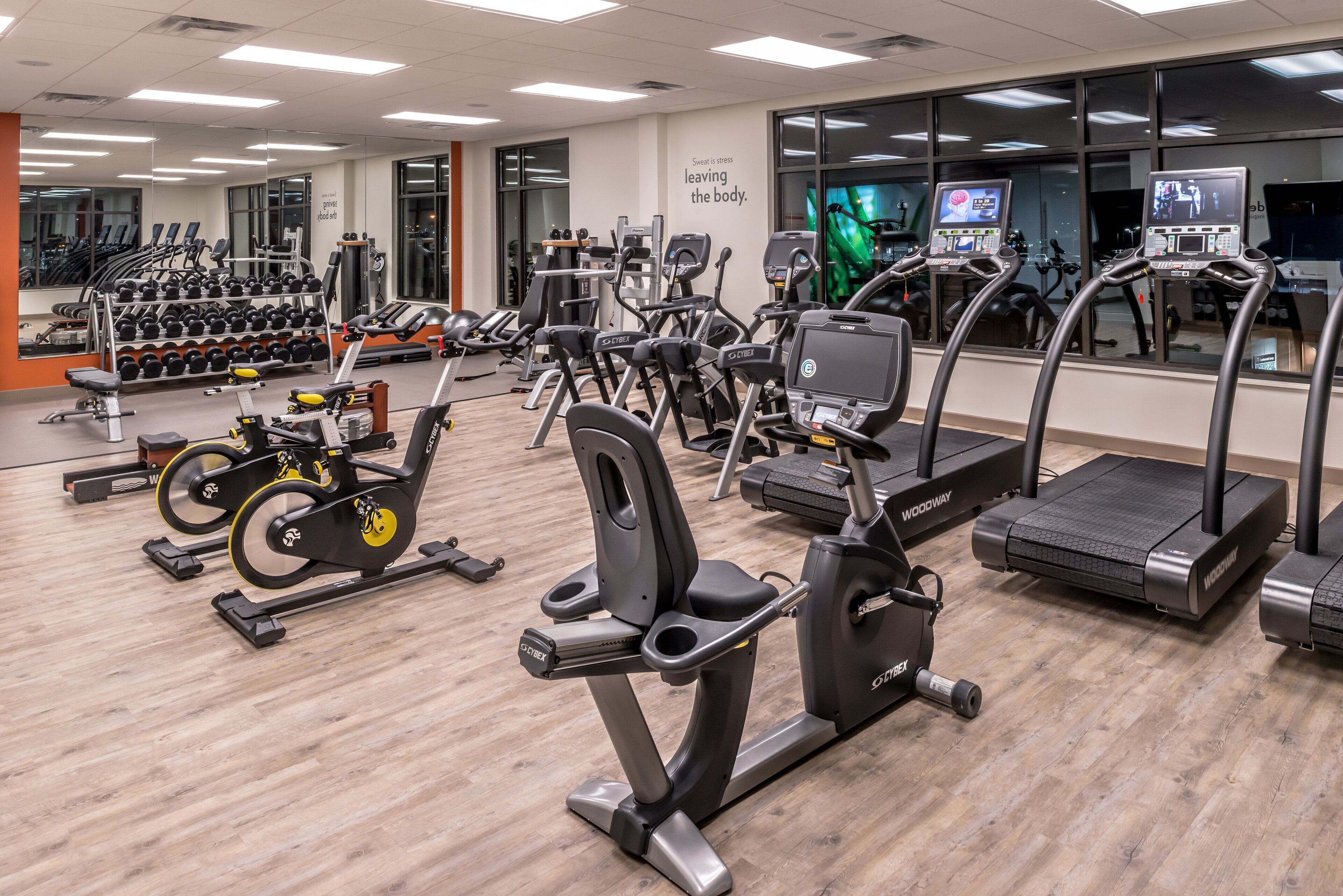 A gym with various cardio machines, weightlifting equipment, and a mirrored wall.