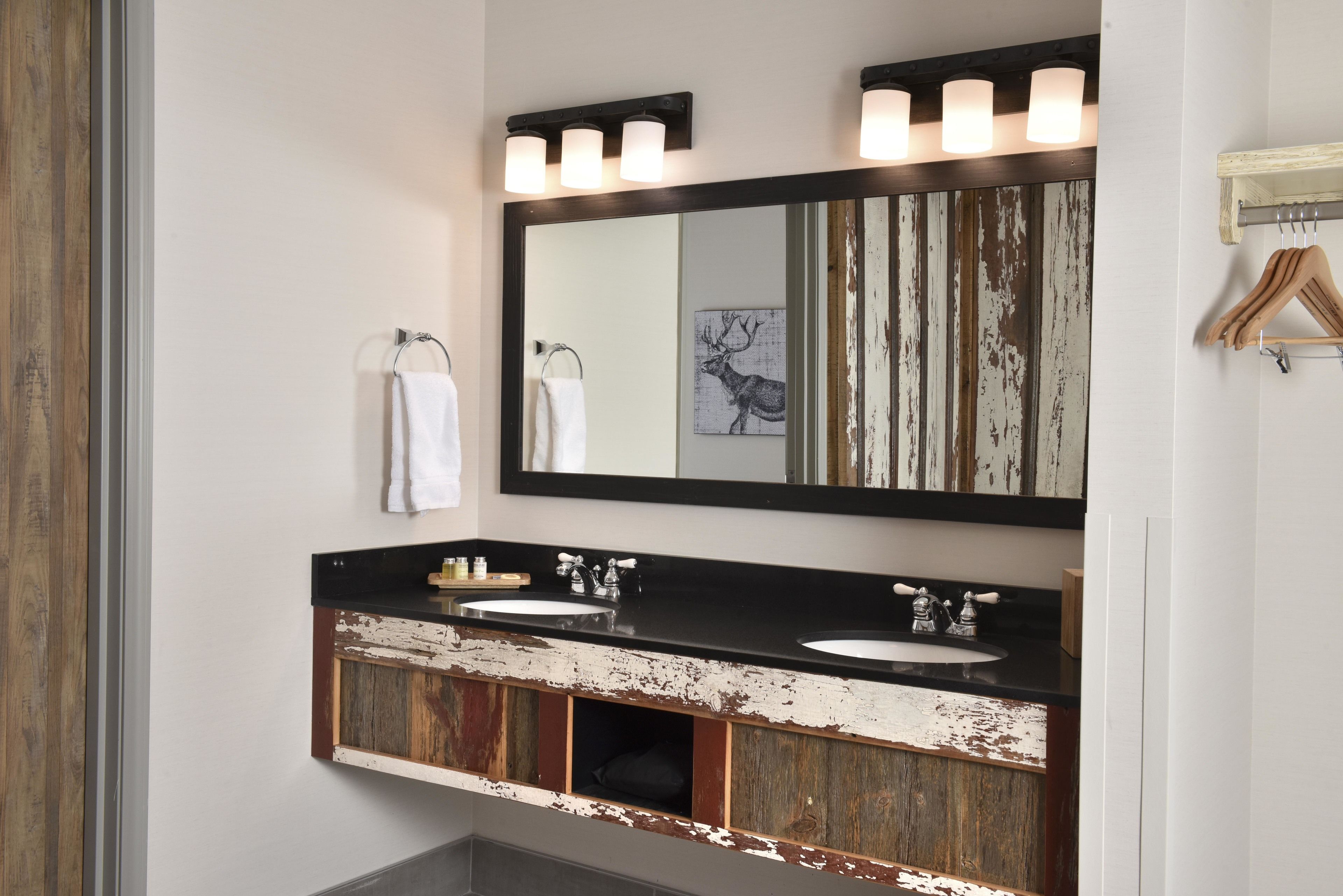 junior theme suite with whirlpool | bathroom sink