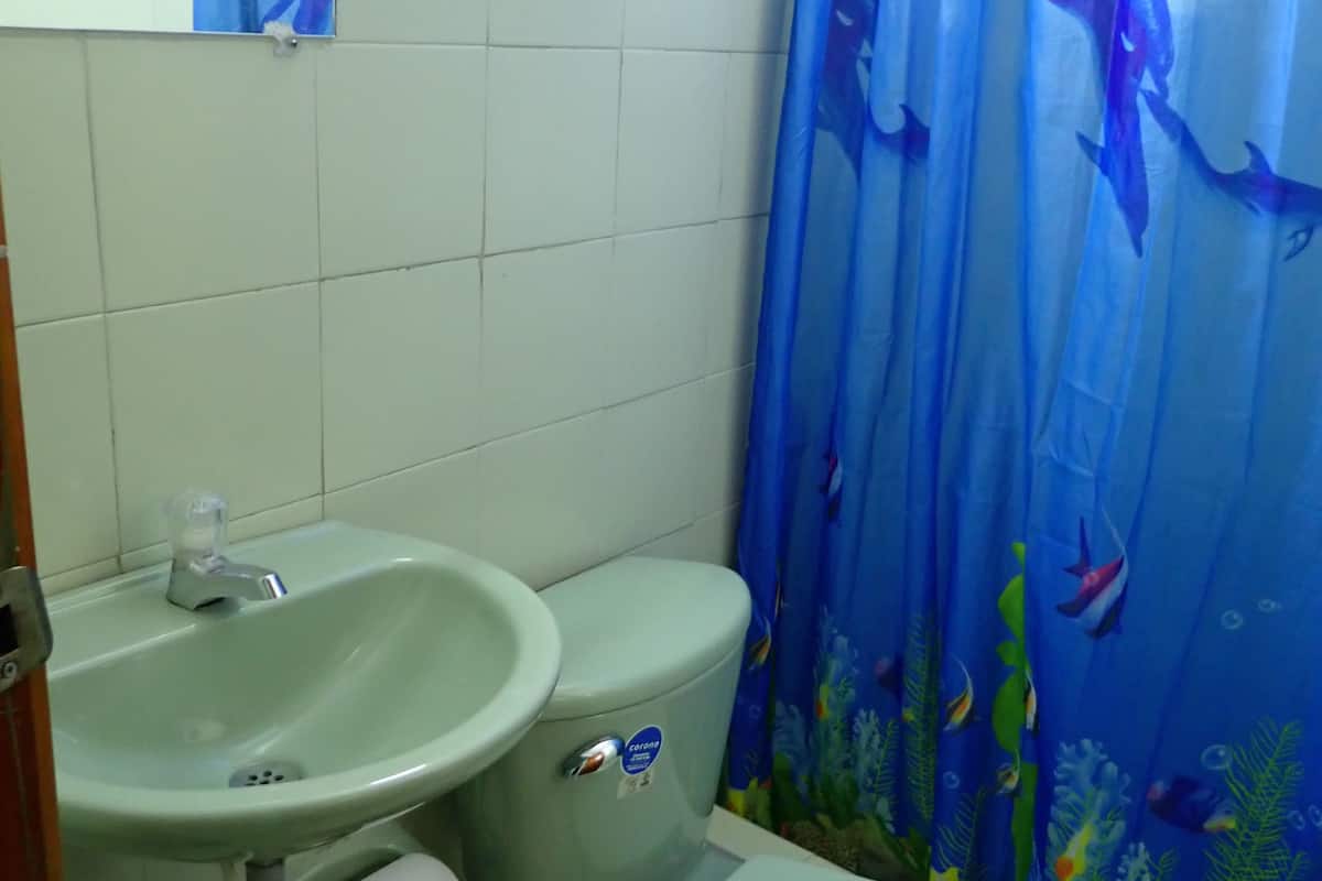 combined shower/bathtub, towels, soap, toilet paper