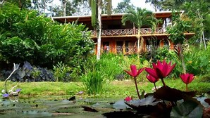 Un jardín tropical con una construcción de madera, nenúfares y abundante vegetación.