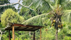 Una piscina con cubierta de madera y sillas de descanso, rodeada de exuberante vegetación y una palmera.