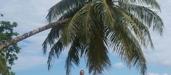 Dolphin Bay Hideaway