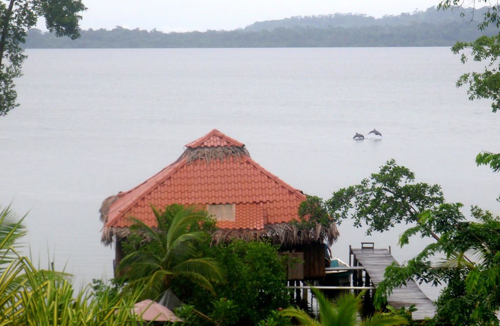 A thatched-roof hut with a wooden deck, overlooking a calm lake.