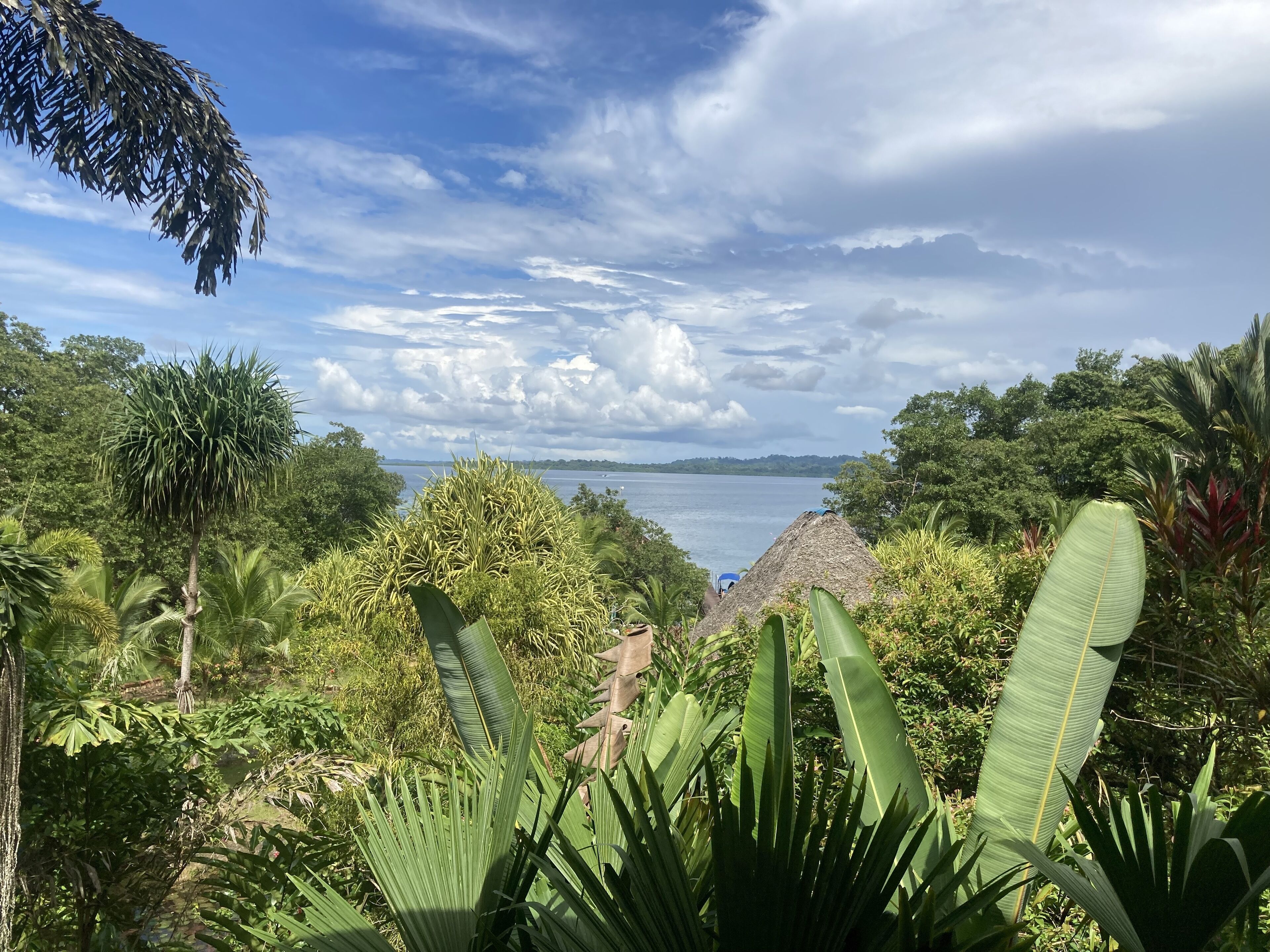 Dolphin Bay Hideaway