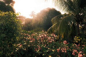 A lush garden with dense foliage and flowering plants. - Pousada Sossego (Tibau do Sul)