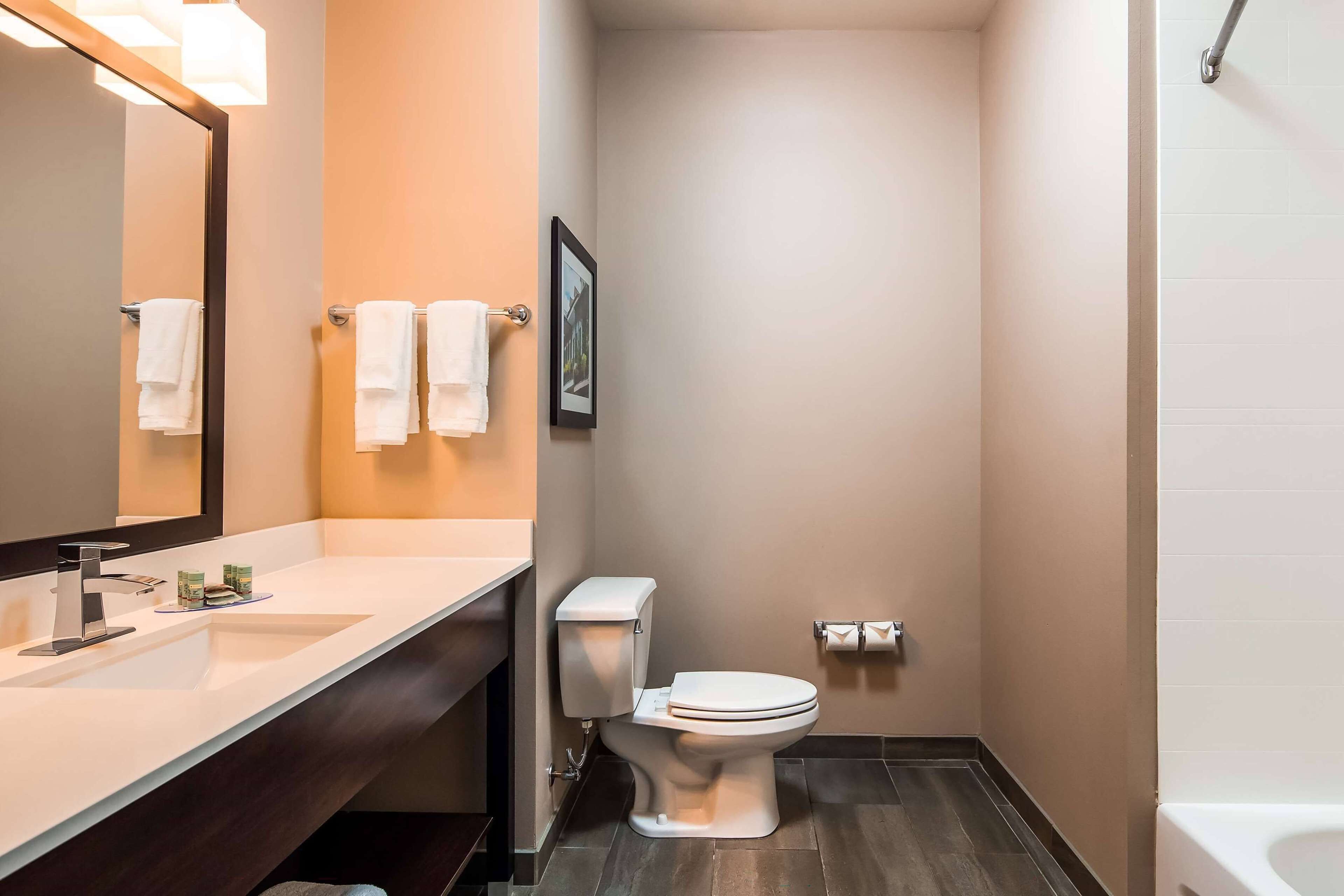 combined shower/bathtub, hair dryer, towels