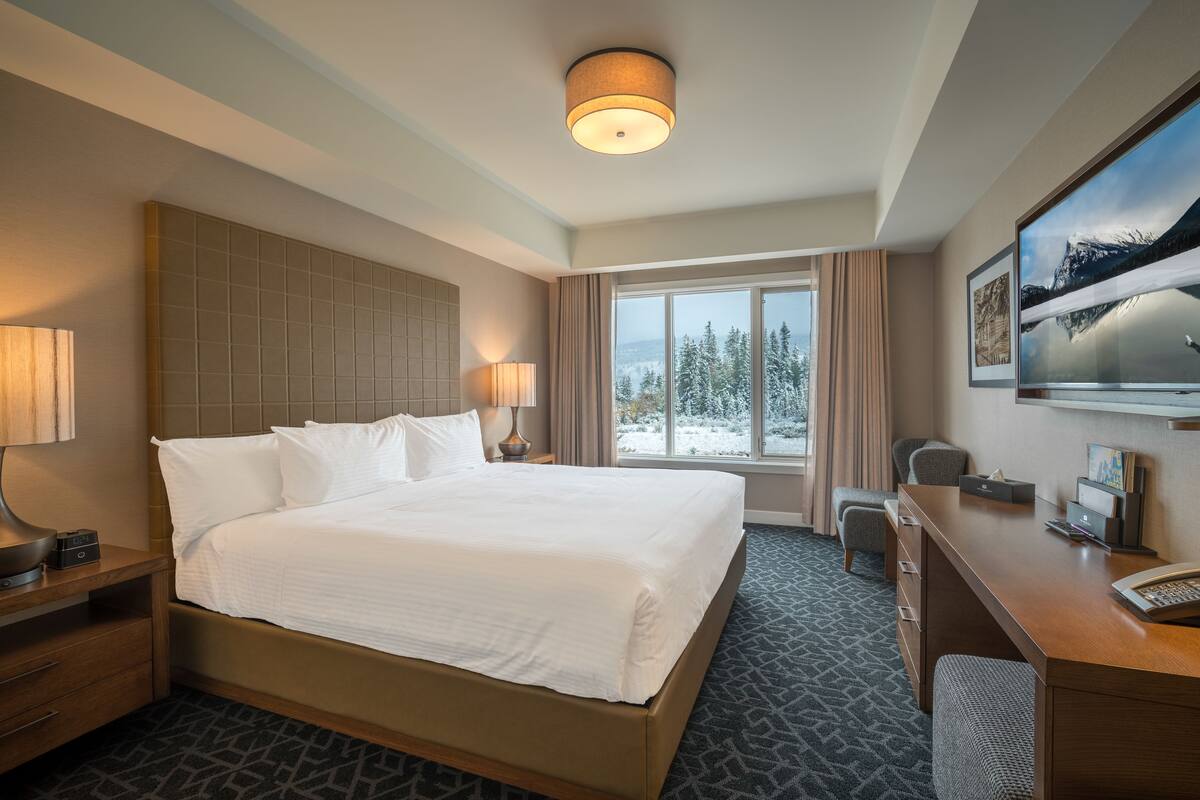 A hotel room with a large bed, a desk, a chair, and a window with a view of trees.