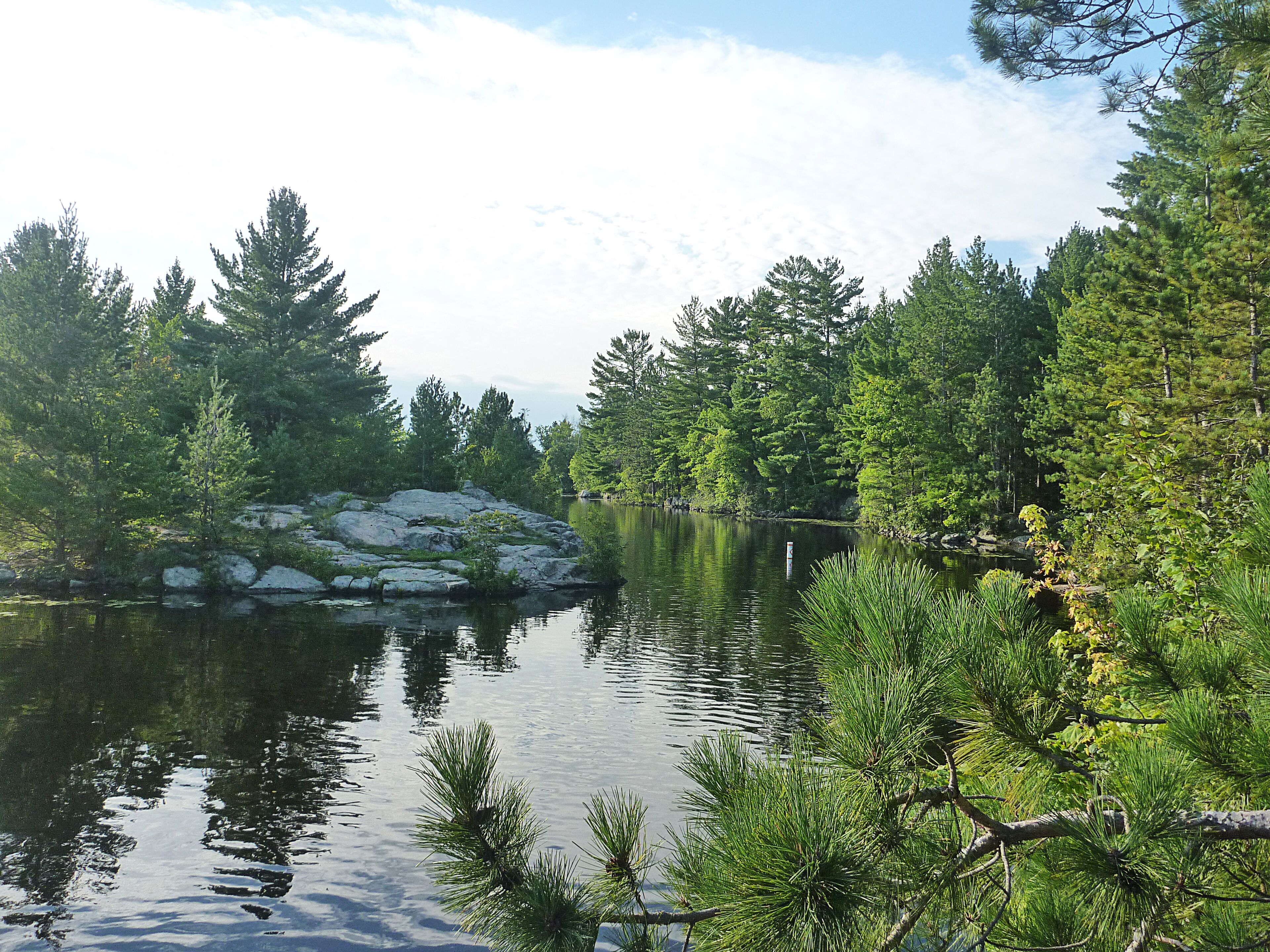 Un lago sereno rodeado de un bosque denso y terreno rocoso.