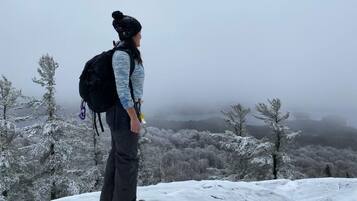 A person standing on a snowy mountain with a backpack, overlooking a forested valley.