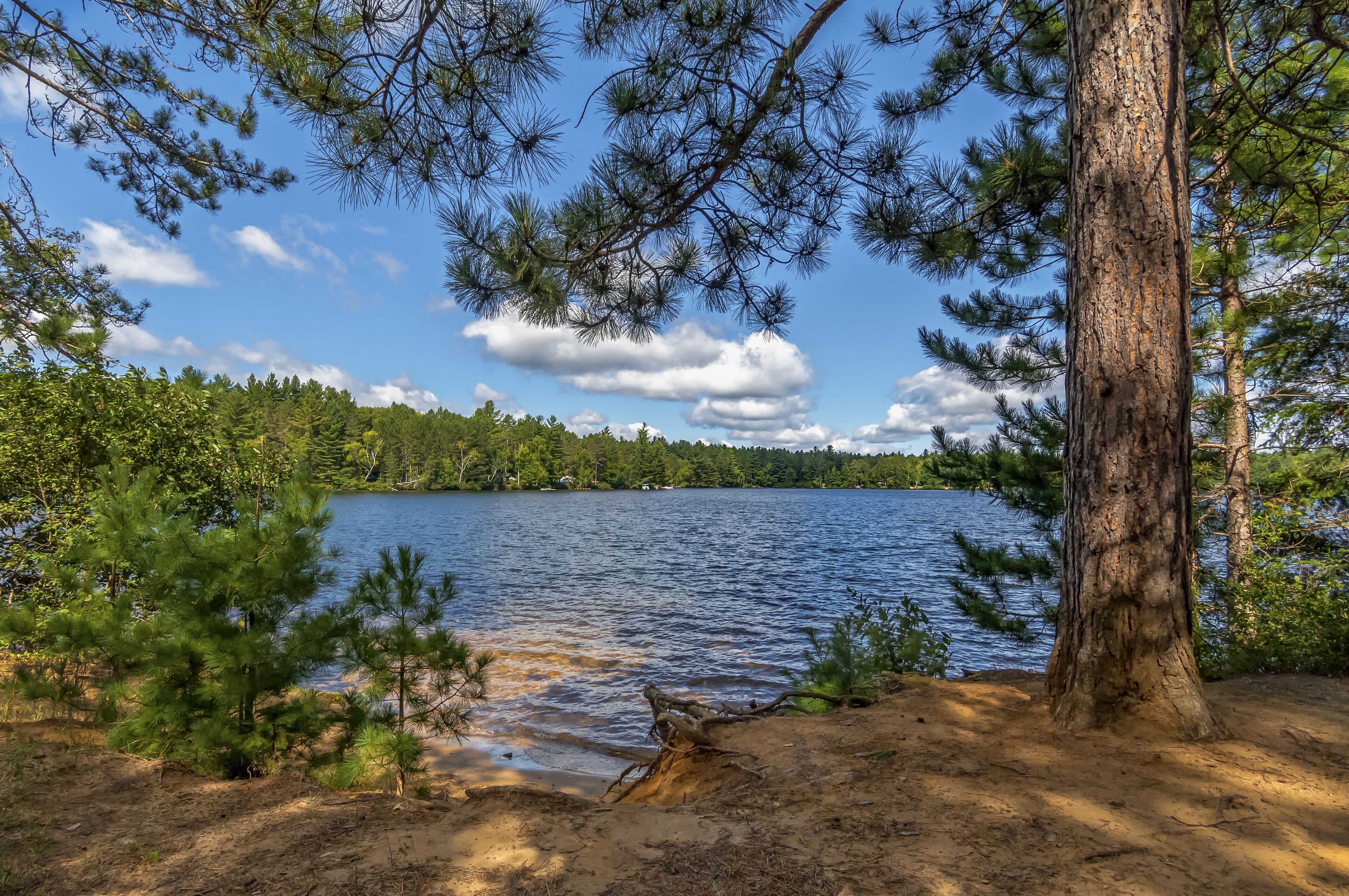 A natural landscape with a lake, trees, and a clear sky.