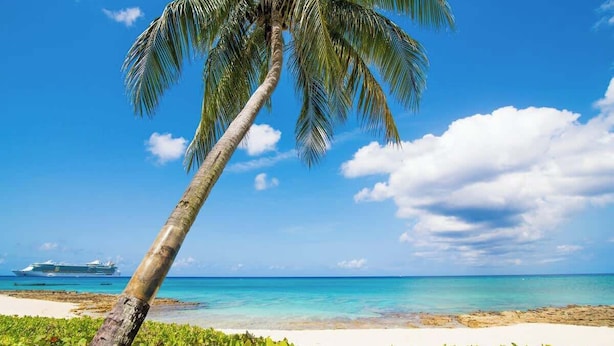 Vista despejada de una playa con una palmera, un crucero a lo lejos y un cielo azul y claro.