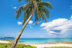 Ein freier Blick auf einen Strand mit einer Palme, einem Kreuzfahrtschiff in der Ferne und blauem Himmel.
