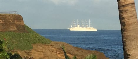 Vista desde la propiedad