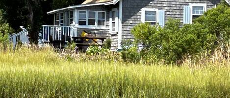 A house with a dock, surrounded by tall grass and trees, near a body of water.