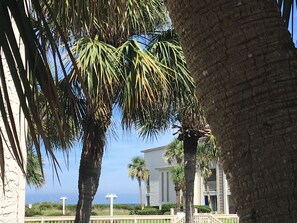 A view of a building with a white facade, palm trees, and a clear sky. - Best Beach view condo 2 story 2br 1.5ba views of ocean,pool & intercoastal. (St. Augustine)