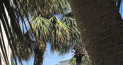 Best Beach view condo 2 story 2br 1.5ba views of ocean,pool & intercoastal.