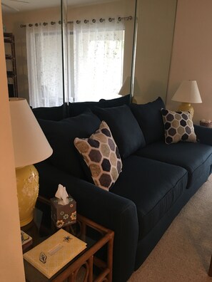 Smart TV, DVD player, books, stereo