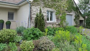A house with a garden featuring various plants and a window.
