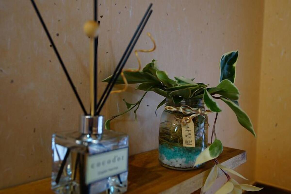 Oda (bbulzam) | Oda özellikleri