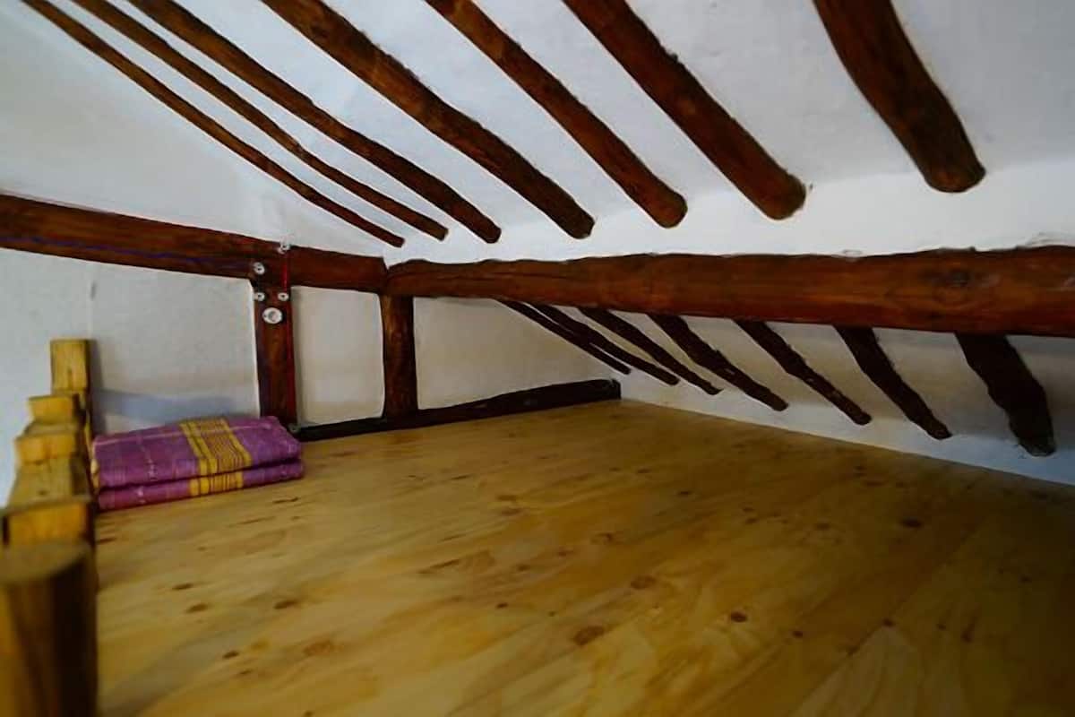 Oda (danzam) | Ücretsiz kablosuz İnternet