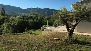 Zona residenziale con prato, un albero e un edificio con tetto piano.