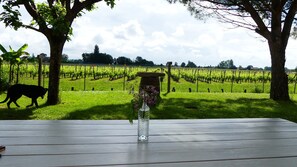Property grounds - Getaway at Saint-Emilion (Saint-Pey-D'armens)