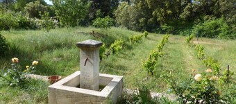 Beautiful house in the Luberon