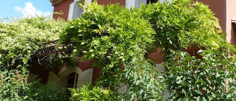 Terrein van de accommodatie