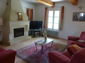 TV, fireplace, DVD player, ping pong