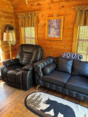 TV, fireplace, DVD player, books