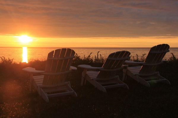 our favorite chairs in the front yard