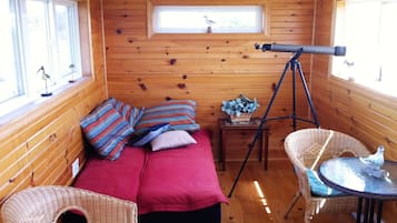 TV connectée, cheminée, lecteur de DVD, livres