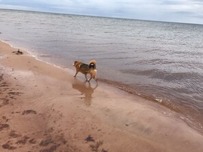 Sur la plage
