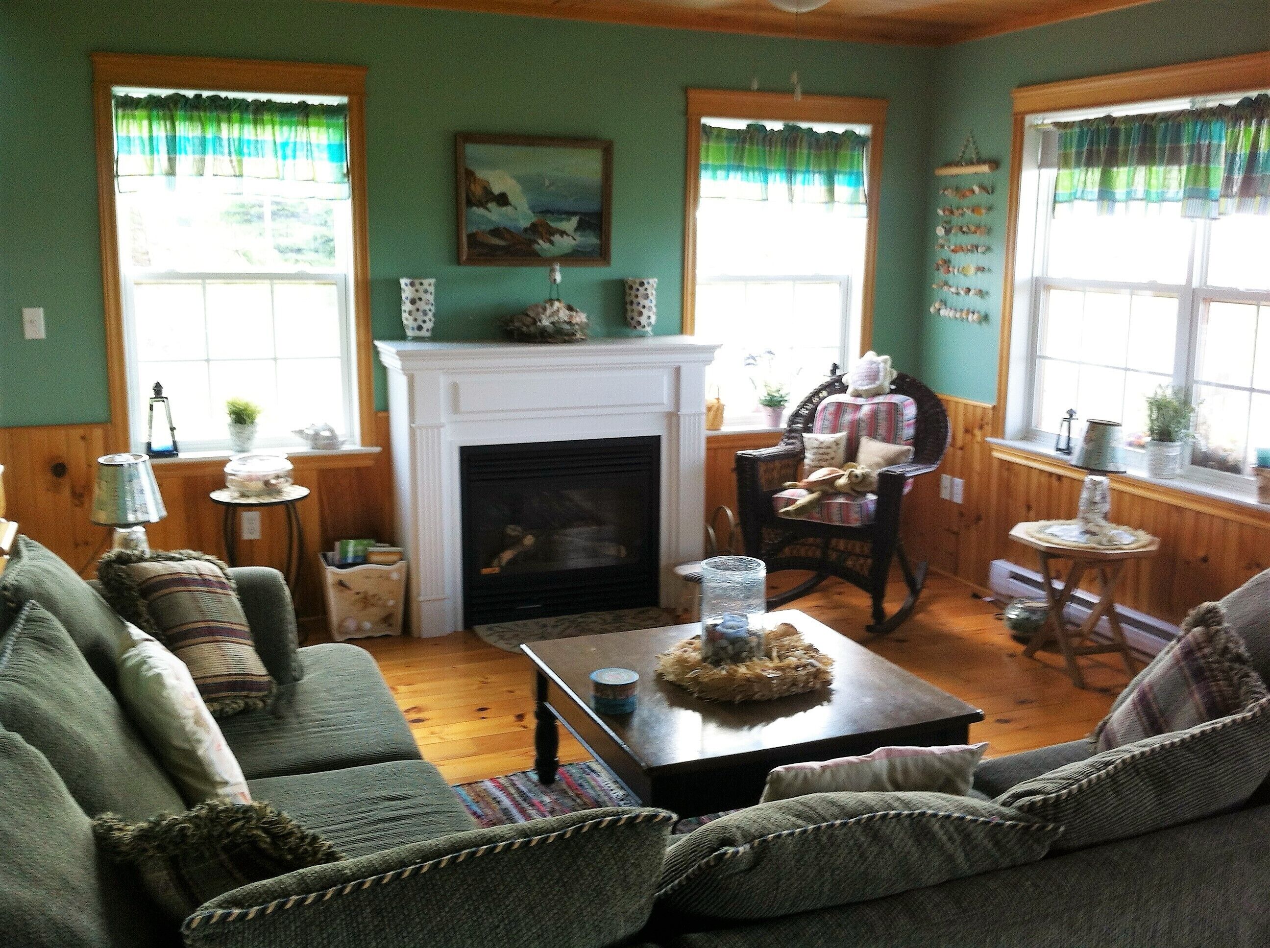 Smart TV, chimenea, reproductor de DVD y libros 