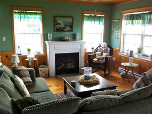 TV connectée, cheminée, lecteur de DVD, livres